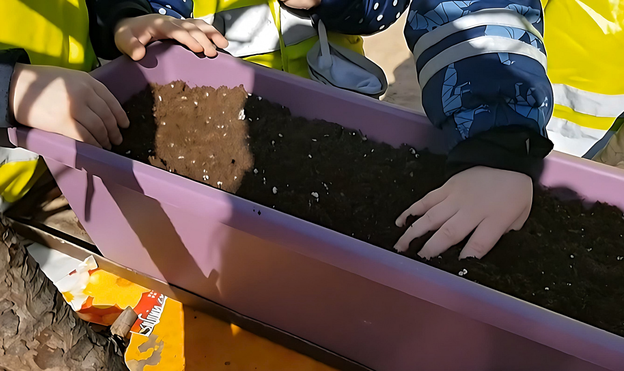 Plant Activities For Preschoolers Plant Activities For Preschoolers